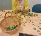 Atelier écoresponsable : Découverte du Lierre et Réalisation d'une Lessive au Lierre